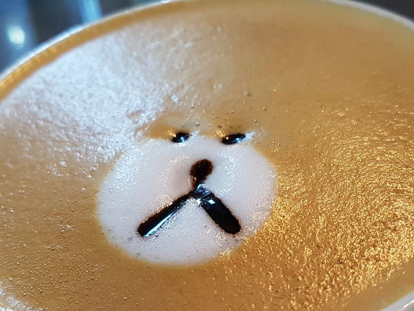 20170819_tame moose6.jpg 20170819_tame moose6.jpg