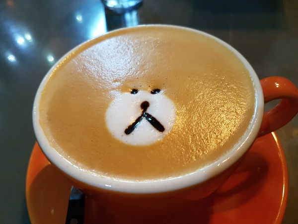 20170819_tame moose5.jpg 20170819_tame moose5.jpg