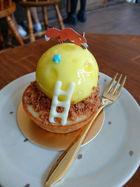 22789146_1669203293111353_2874826038561000279_n