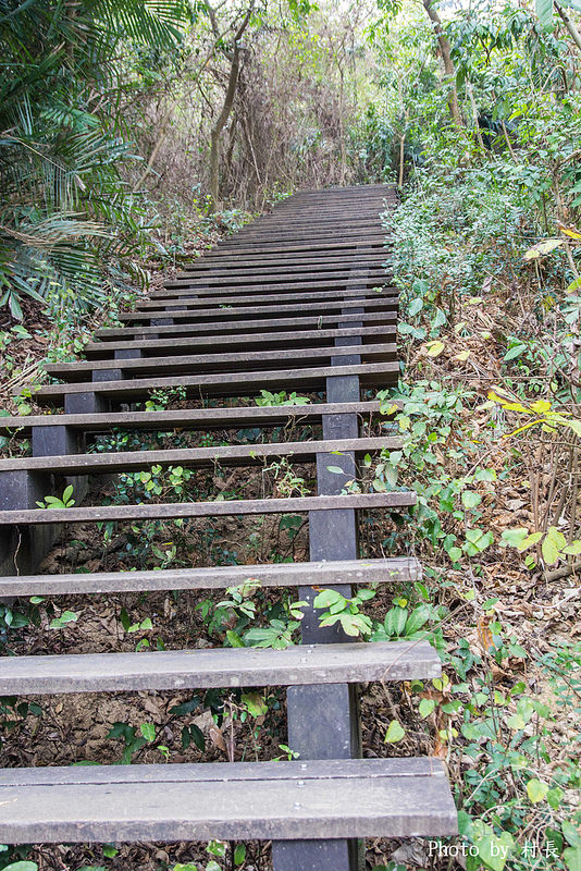 柴山步道：【遊記】｛高雄。鼓山區｝與猴子一起在柴山步道大健走