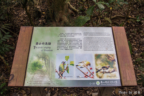 柴山步道：【遊記】｛高雄。鼓山區｝與猴子一起在柴山步道大健走