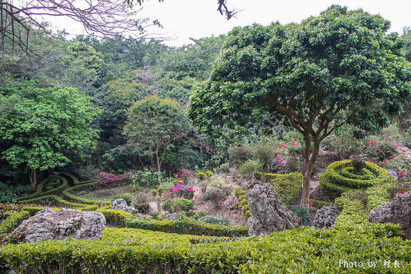 柴山步道：【遊記】｛高雄。鼓山區｝與猴子一起在柴山步道大健走