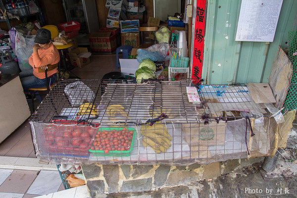 柴山步道：【遊記】｛高雄。鼓山區｝與猴子一起在柴山步道大健走