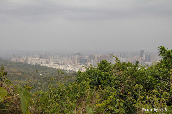 柴山步道：【遊記】｛高雄。鼓山區｝與猴子一起在柴山步道大健走