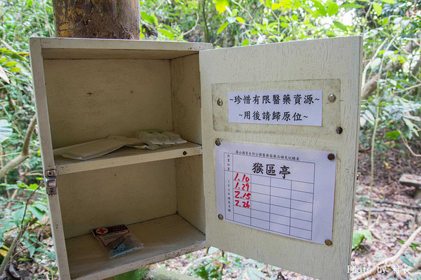 柴山步道：【遊記】｛高雄。鼓山區｝與猴子一起在柴山步道大健走