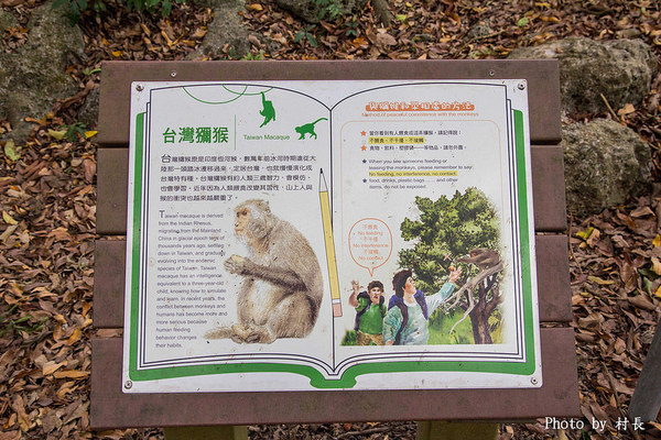 柴山步道：【遊記】｛高雄。鼓山區｝與猴子一起在柴山步道大健走