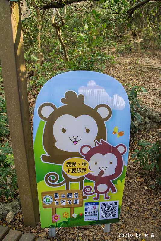 柴山步道：【遊記】｛高雄。鼓山區｝與猴子一起在柴山步道大健走