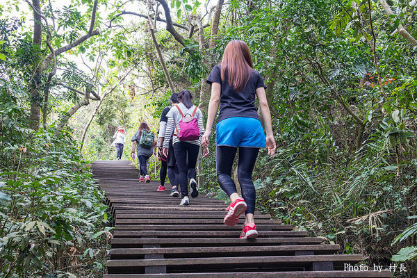 柴山步道：【遊記】｛高雄。鼓山區｝與猴子一起在柴山步道大健走