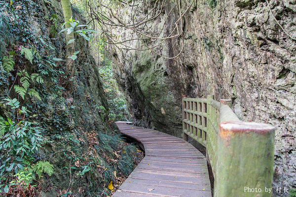 柴山步道：【遊記】｛高雄。鼓山區｝與猴子一起在柴山步道大健走