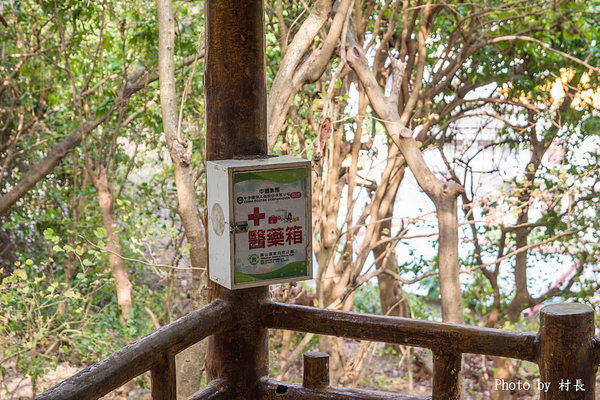 柴山步道：【遊記】｛高雄。鼓山區｝與猴子一起在柴山步道大健走