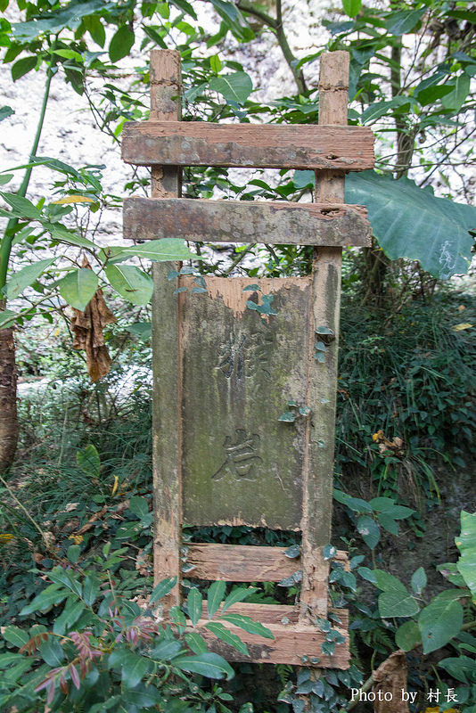 柴山步道：【遊記】｛高雄。鼓山區｝與猴子一起在柴山步道大健走