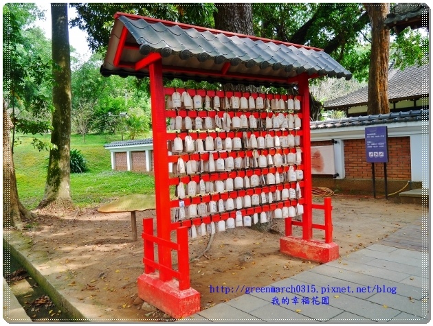 P8910859 (620x465).jpg