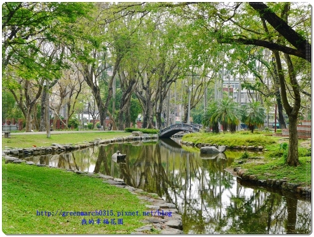 P8910825 (620x465).jpg