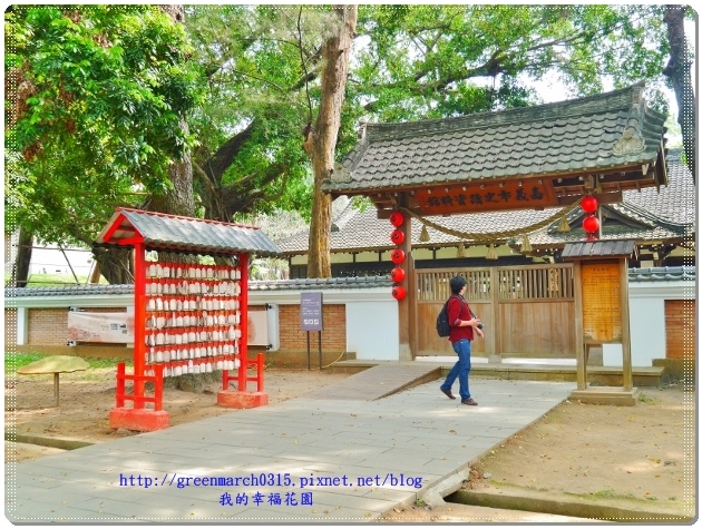 P8910858 (620x465).jpg