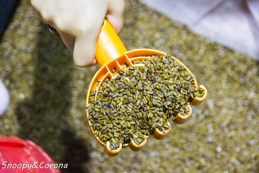 【親子餐廳】竹北親子餐廳/la play 樂玩 親子空間x輕食~複合式親子玩樂天堂,好吃好玩好放電