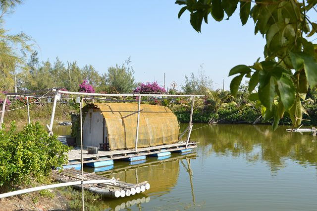 椰庭景觀餐廳42