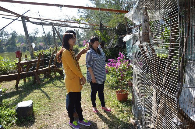 椰庭景觀餐廳32