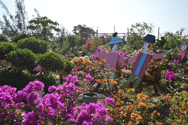 椰庭景觀餐廳04