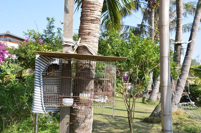 椰庭景觀餐廳31