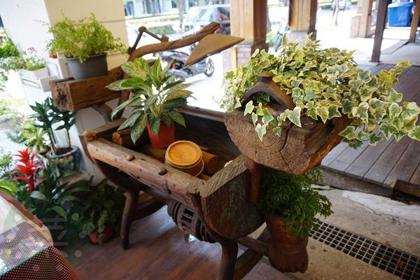 DSC08593 (複製).JPG