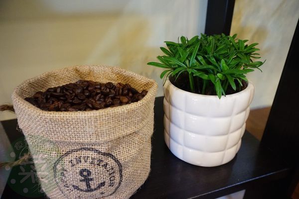 DSC08621 (複製).JPG