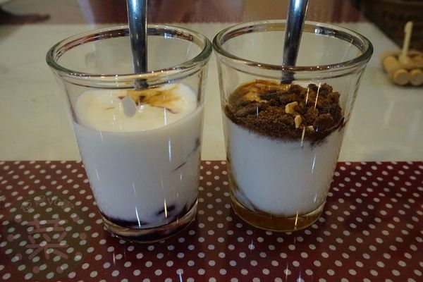 DSC08817 (複製).JPG