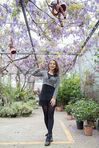 【桃園紫藤花景點】三月四月賞花 連假賞花去-桃園中壢的元生公園