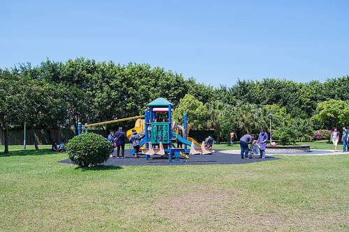【桃園紫藤花景點】三月四月賞花 連假賞花去-桃園中壢的元生公園