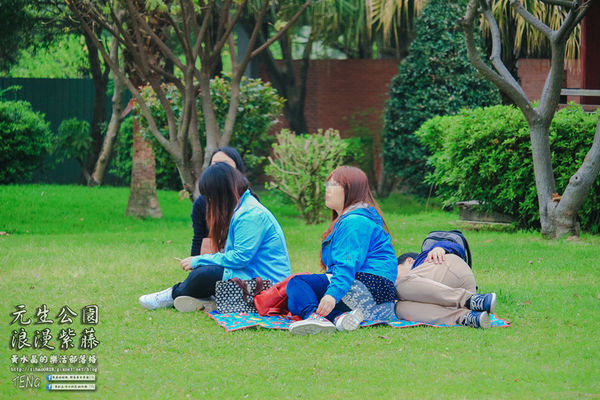 元生公園 紫藤花季|桃園市/中壢區(浪漫紫藤花超級人氣熱門景點,除了浪漫還是浪漫)