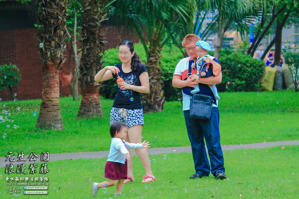 元生公園 紫藤花季|桃園市/中壢區(浪漫紫藤花超級人氣熱門景點,除了浪漫還是浪漫)