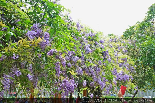 20170417_165804.jpg 20170417_165804.jpg