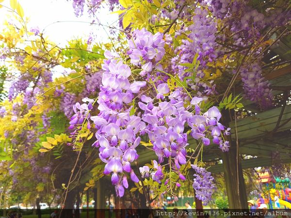 20170416_112414.jpg 20170416_112414.jpg