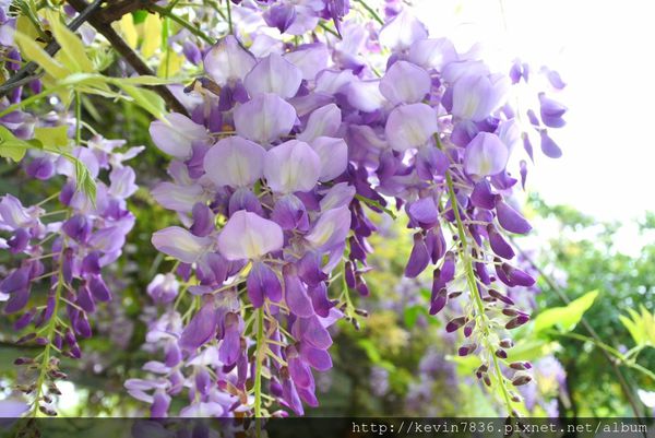 20170417_170011.jpg 20170417_170011.jpg