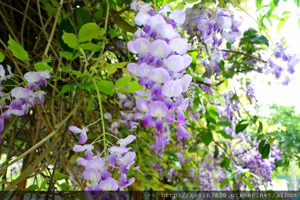 20170417_170318.jpg 20170417_170318.jpg