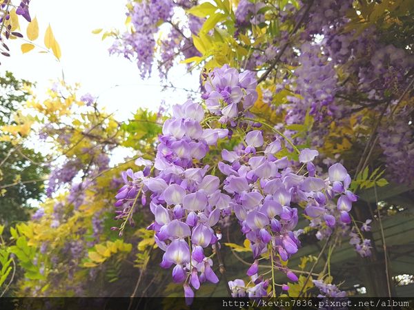 20170417_171209.jpg 20170417_171209.jpg