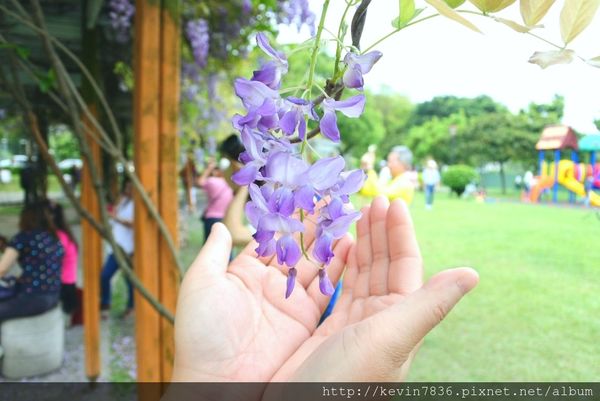 20170417_171340.jpg 20170417_171340.jpg