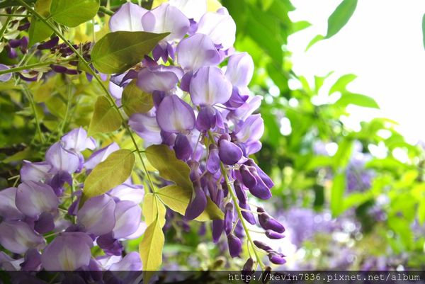 20170417_170135.jpg 20170417_170135.jpg