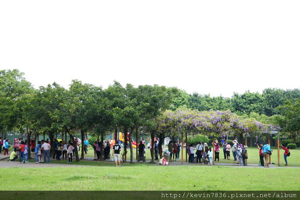 DSC_2566.JPG DSC_2566.JPG