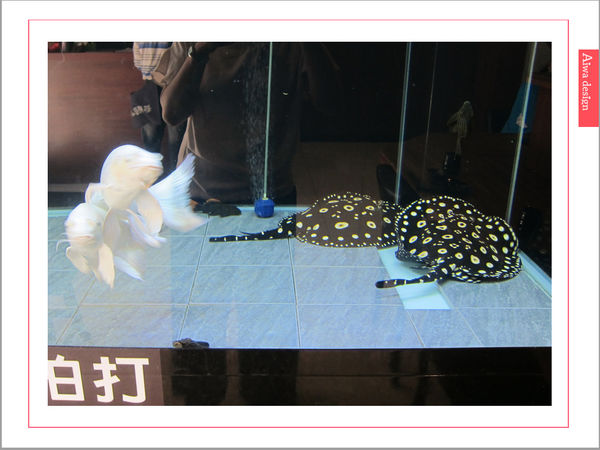 真心不騙!值得一吃的元鮨壽司,肥嫩生魚片,鮮甜味擋不住-14.jpg 真心不騙!值得一吃的元鮨壽司,肥嫩生魚片,鮮甜味擋不住-14.jpg