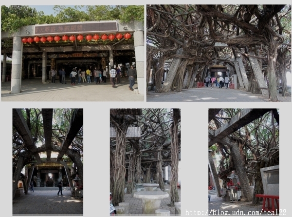 現在去澎湖玩正是好時候