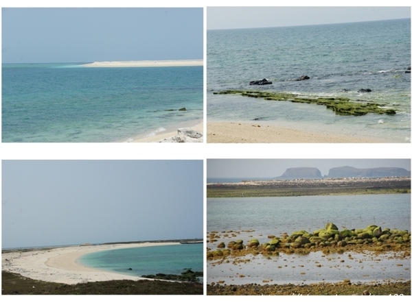 現在去澎湖玩正是好時候