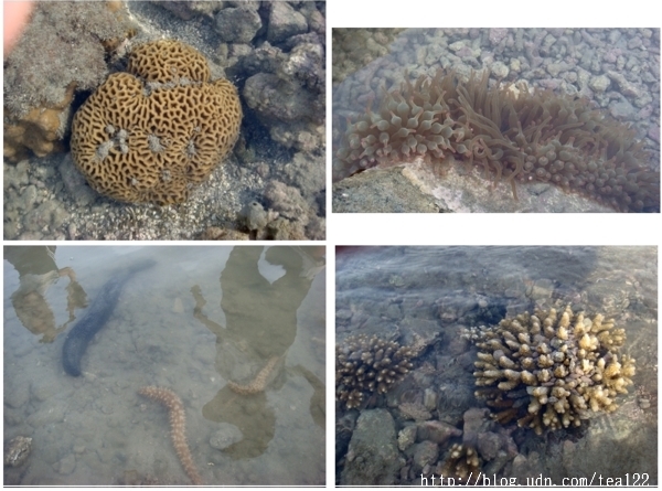 現在去澎湖玩正是好時候