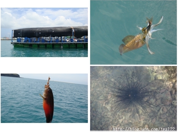 現在去澎湖玩正是好時候