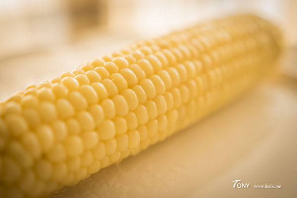 DSC01368.jpg DSC01368.jpg