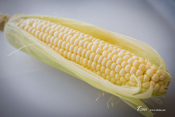 DSC01350.jpg DSC01350.jpg