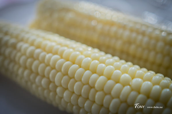 DSC01353.jpg DSC01353.jpg