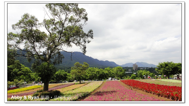 【桃園景觀餐廳．大溪】玫瑰山谷～大溪新亮點．充滿濃厚的鄉村風情 彷彿來到童話故事般的情境〈咖啡/輕食/簡餐〉/寵物旅遊~毛小孩可在戶外奔跑哦~