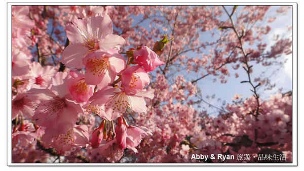 1371577010-1338586441