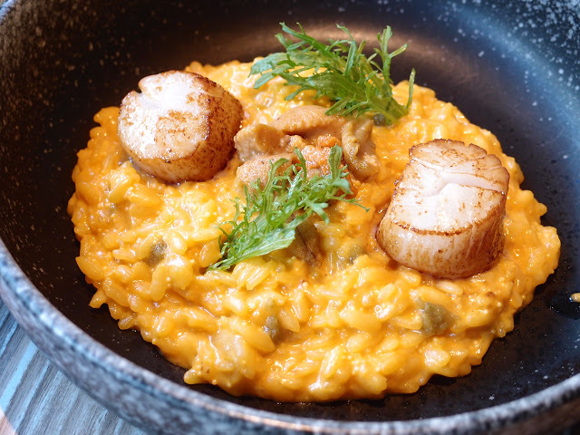 台北 ALLEZ BISTRO來酒館 午餐菜單 法國里昂花園沙拉 炸雞軟骨 薯條 綜合海鮮 墨魚 番紅花 炸雞 海膽燉飯嫩煎北海道干貝 焦糖布丁