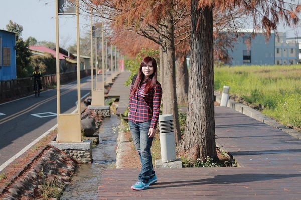 后豐鐵馬道：【台中景點】后豐鐵馬道落羽松秘境。享受這樣片刻的寧靜也挺美好。來場與落羽松對話的輕旅行吧